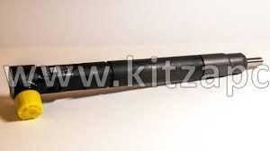 Форсунка Delphi SSANGYONG ACTYON 11- 2,0/KORANDO 2,0 EURO 5 R00301D, A6710170121